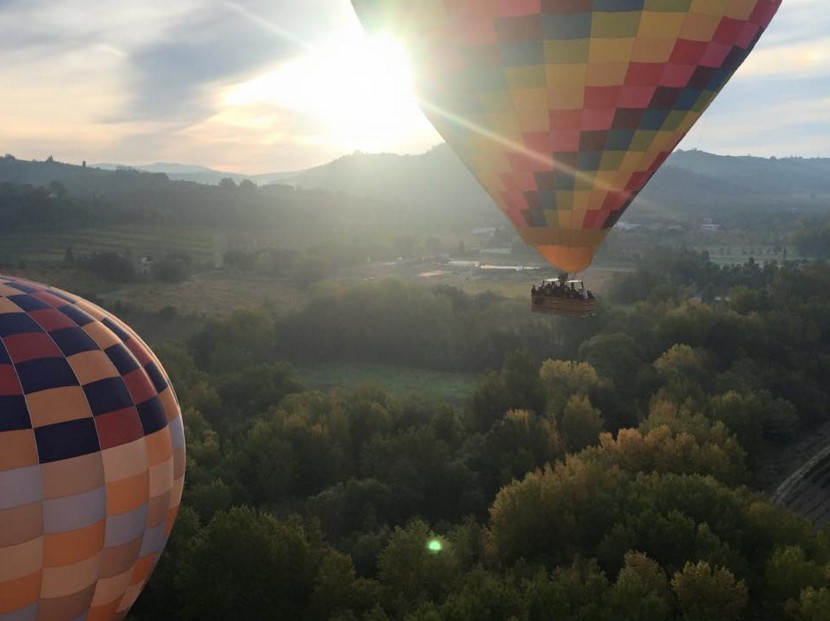 Ballooning fly in tuscany