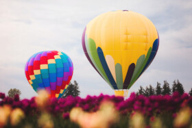 Temecula Balloon and Wine Festival